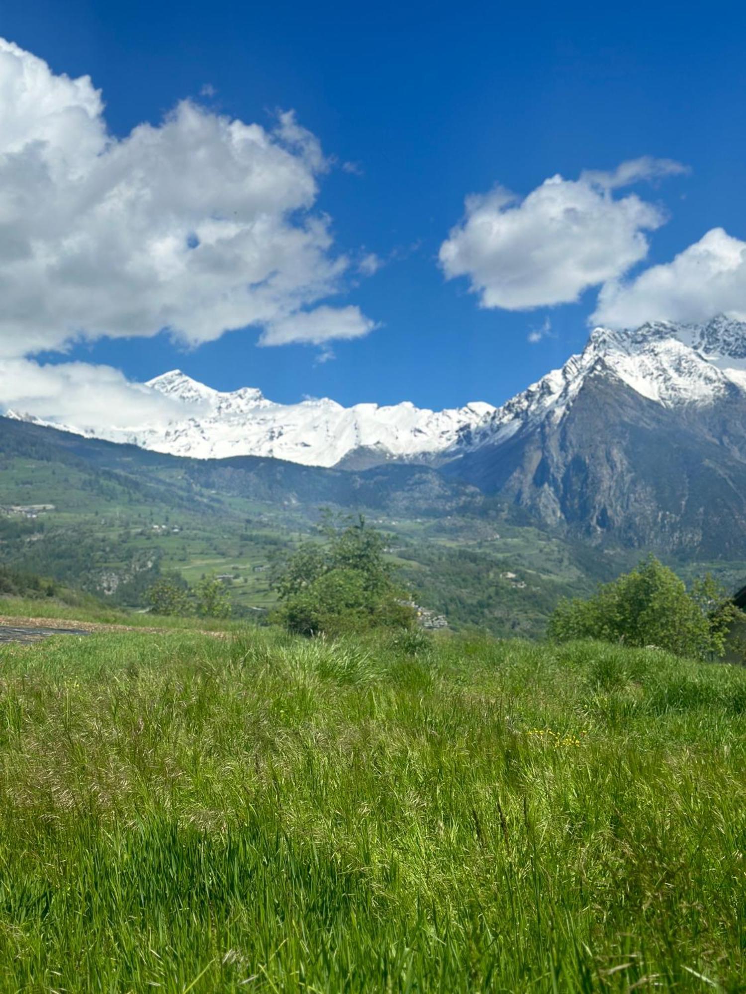 La Tana Dell'ermellino